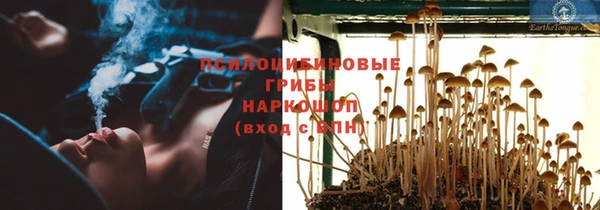 мяу мяу мука Надым