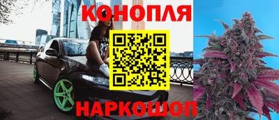 СК Кандалакша