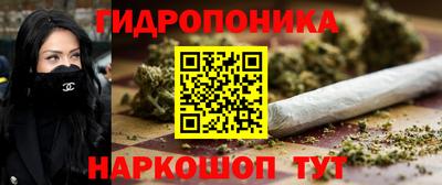 не бодяженный Камышлов