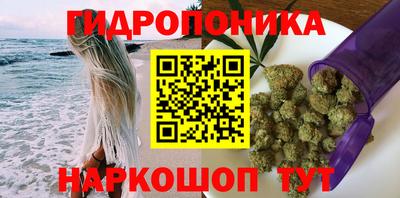 СК Кандалакша