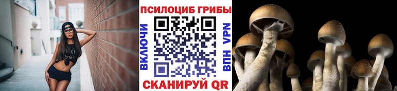 Псилоцибиновые грибы MAGIC MUSHROOMS  kraken как войти  Павловский Посад 