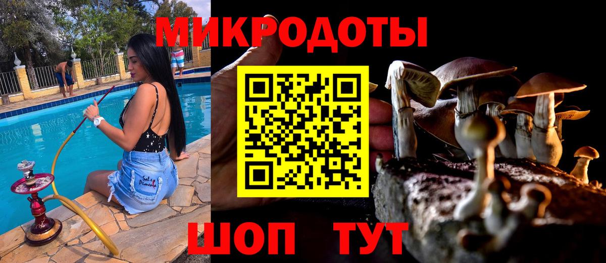 Галлюциногенные грибы мицелий Павловский Посад