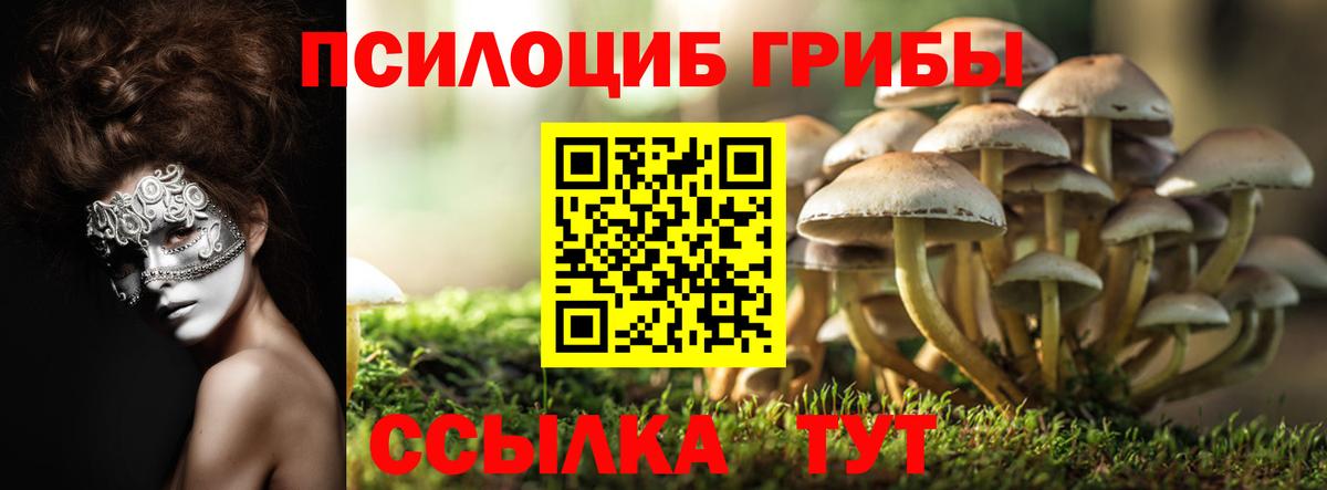 закладка  Галлюциногенные грибы Psilocybe  Вход с VPN  Павловский Посад 