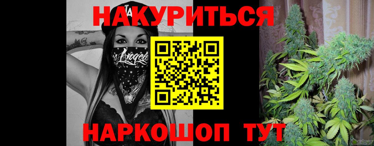 Каннабис сатива Павловский Посад